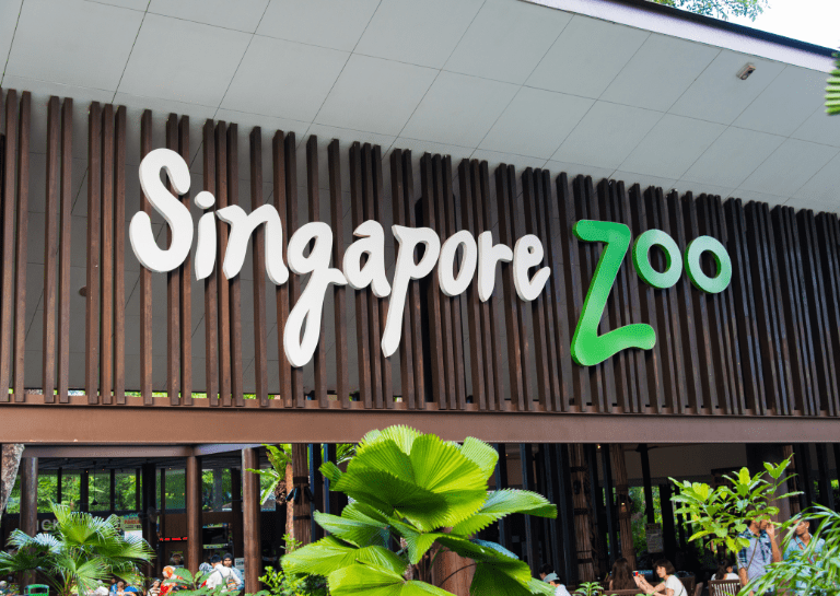 Singapore Zoo and Night Safari Singapore Zoo and Night Safari