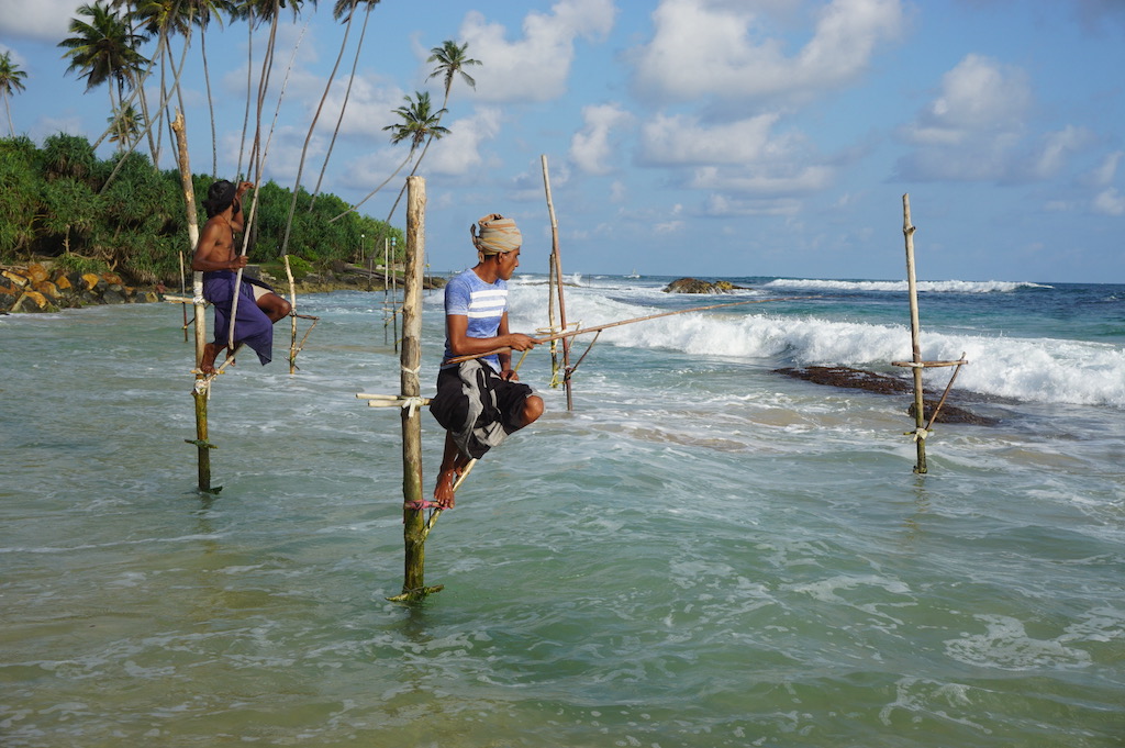Stilt fishing, Sri Lanka