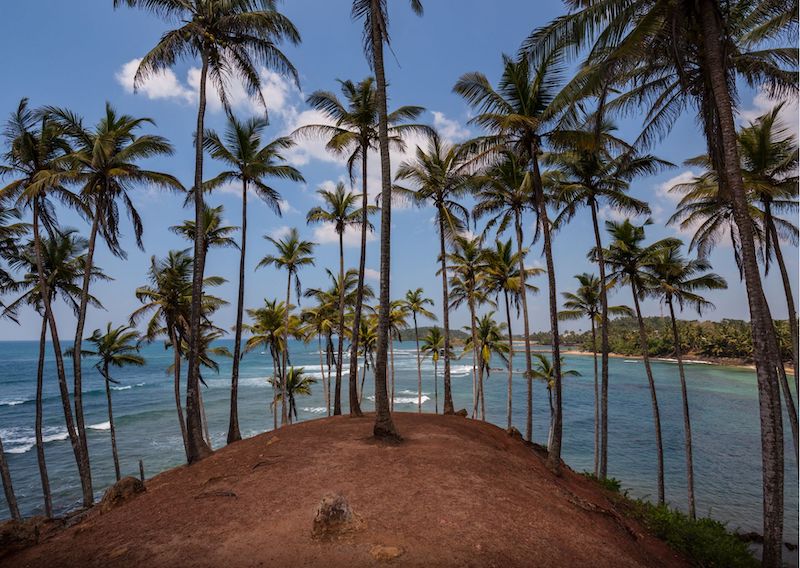 Sri Lanka Travel Guide
