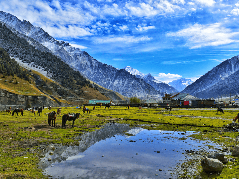 kashmir