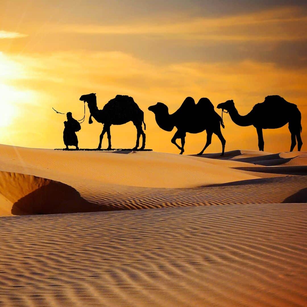 Rajasthan