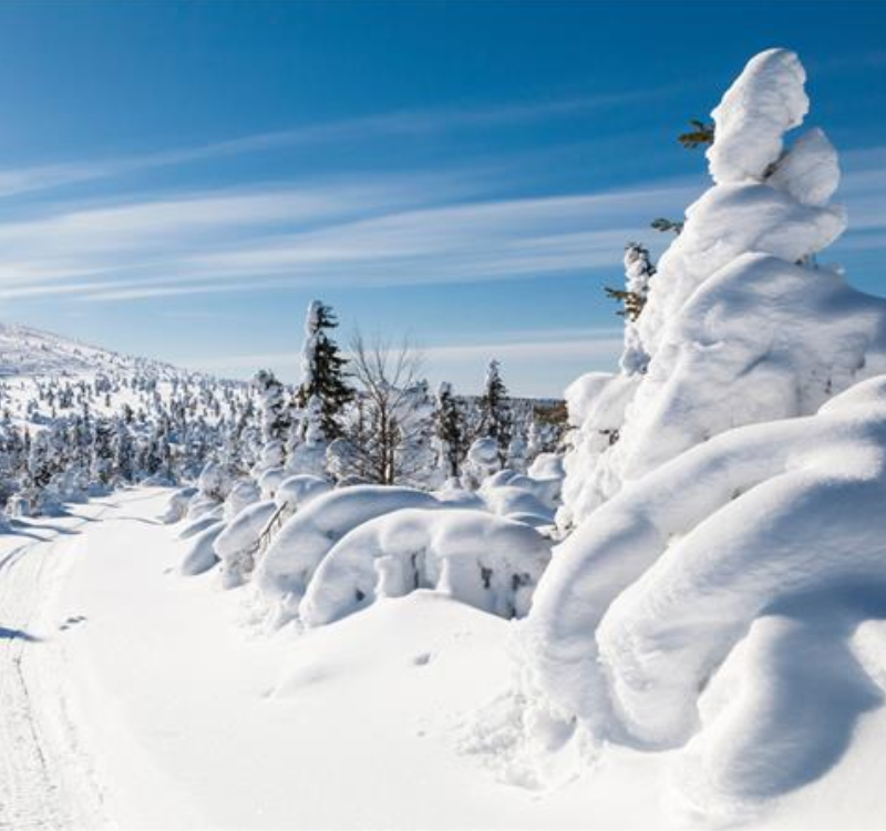 Finland-800