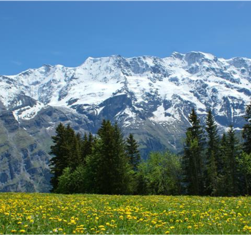Swiss-Alps-800